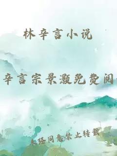 林辛言小说